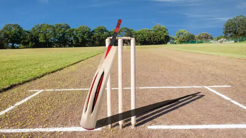 Sportsadda news image