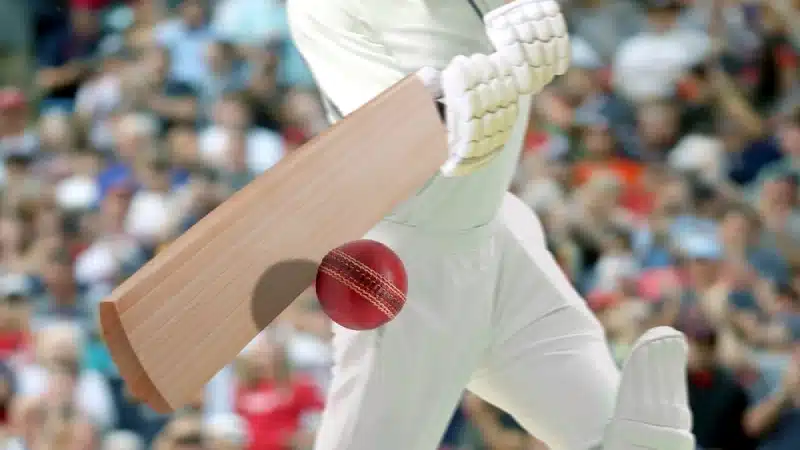 Sportsadda news image