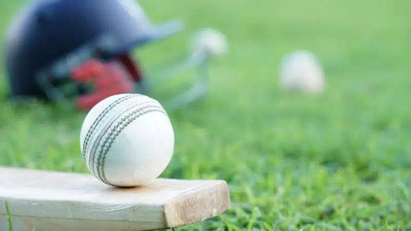 Sportsadda news image