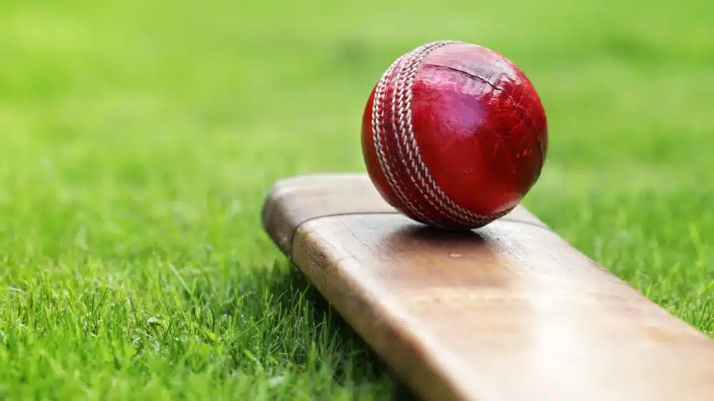 Sportsadda new image 2